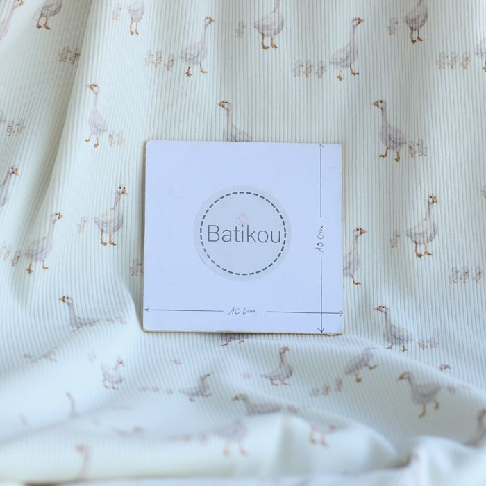 Jersey coton côtes fines à motifs petites oies fond lait