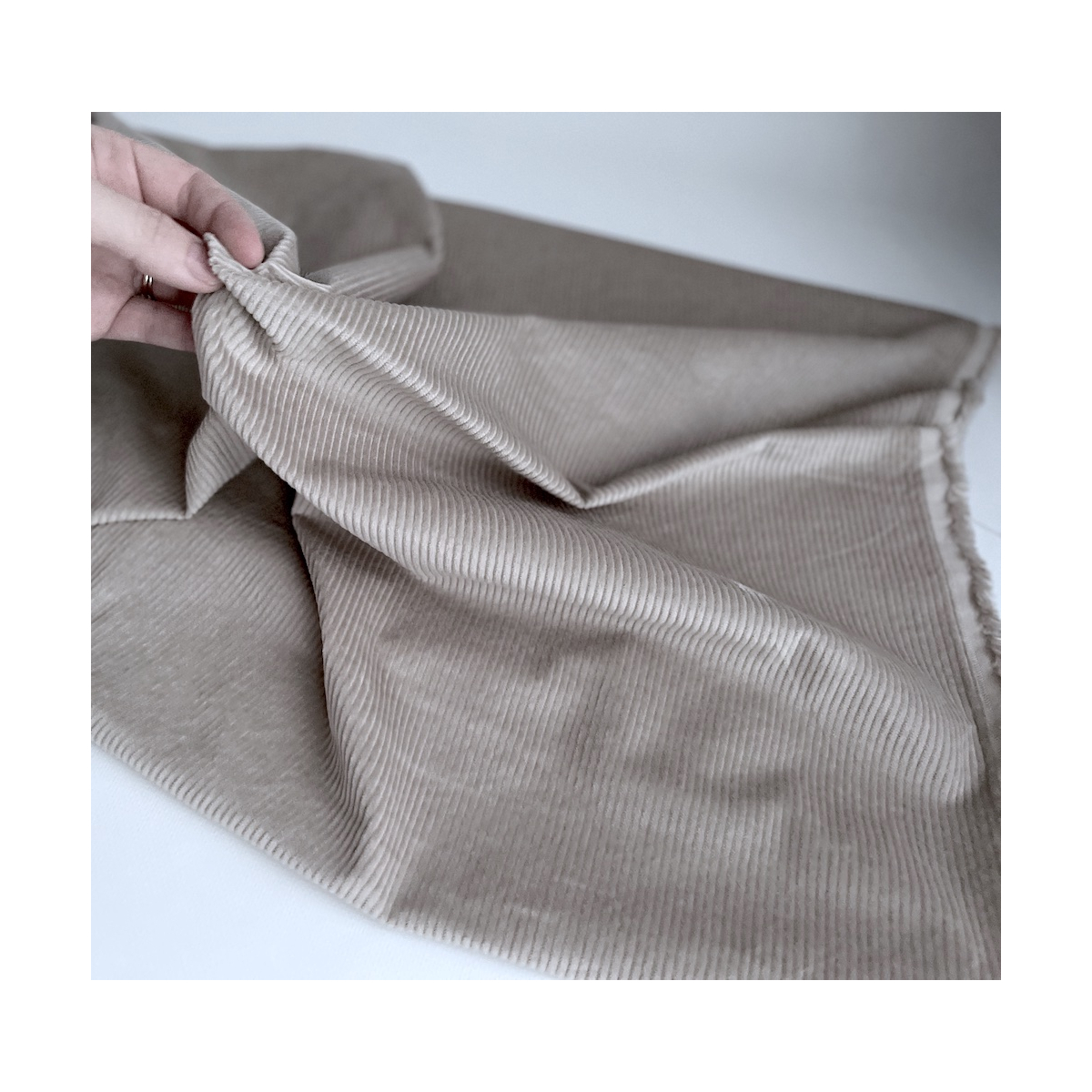 Velours à côtes coton organique coloris beige  - 4