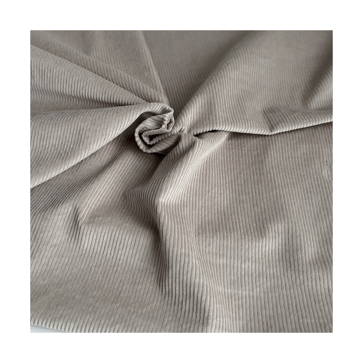 Velours à côtes coton organique coloris beige  - 1