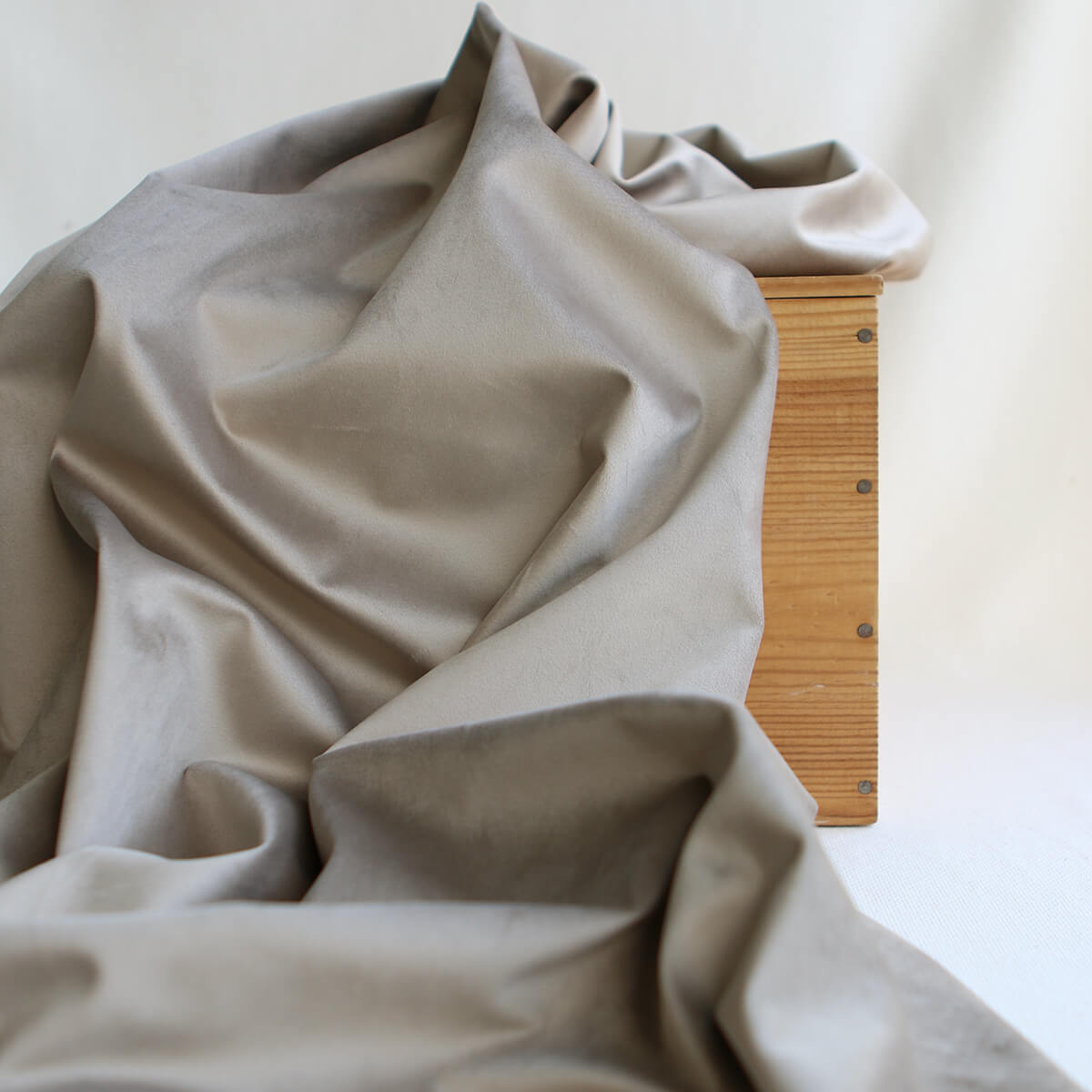 Velours ras coloris champagne