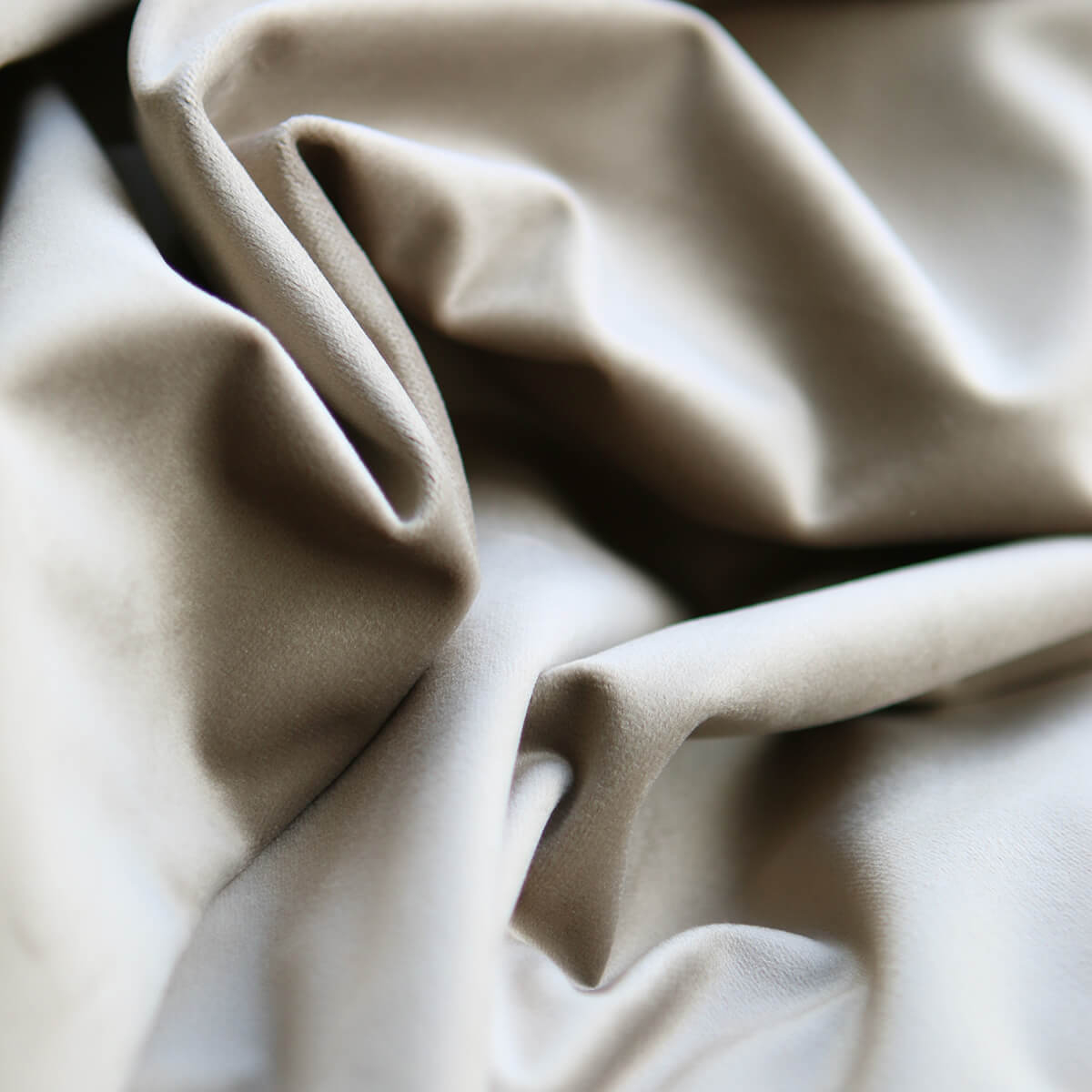 Velours ras coloris champagne