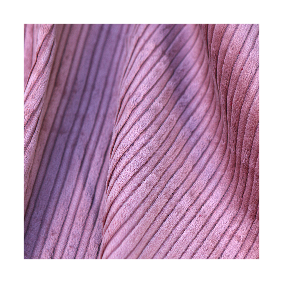 Velours très grosses côtes coton organique coloris vieux rose