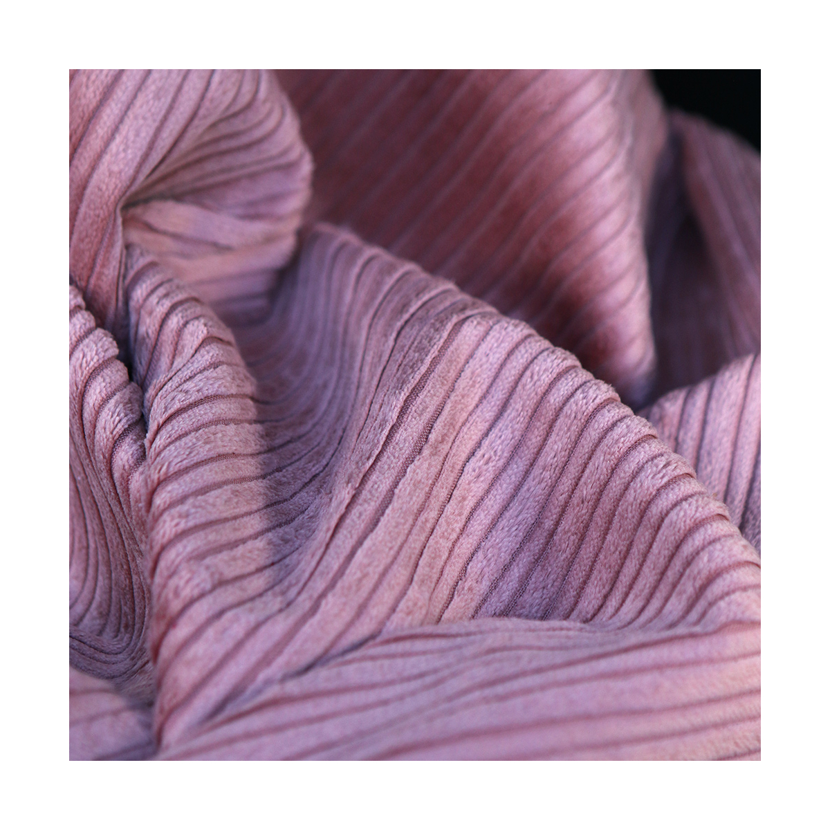 Velours très grosses côtes coton organique coloris vieux rose