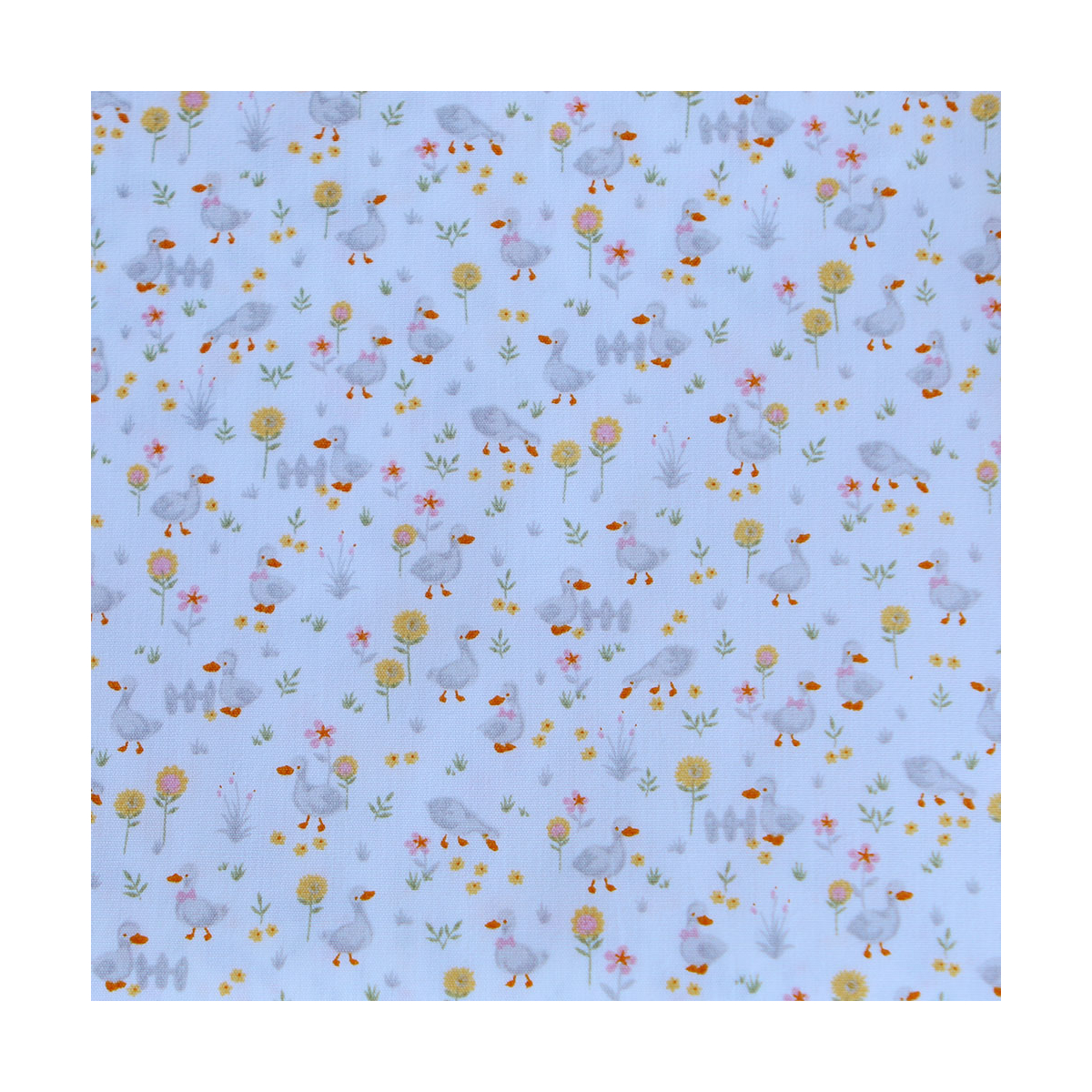 Otis - Popeline de coton BIO imprimé petits canards