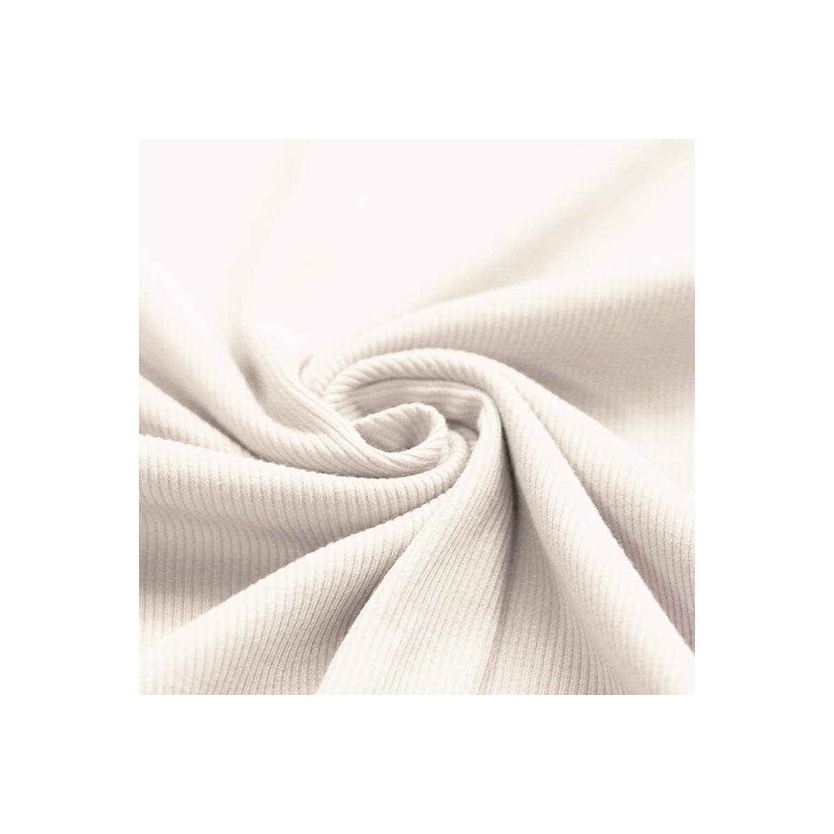 Jersey coton côtes fines coloris lait Qualité Oeko-tex - 1