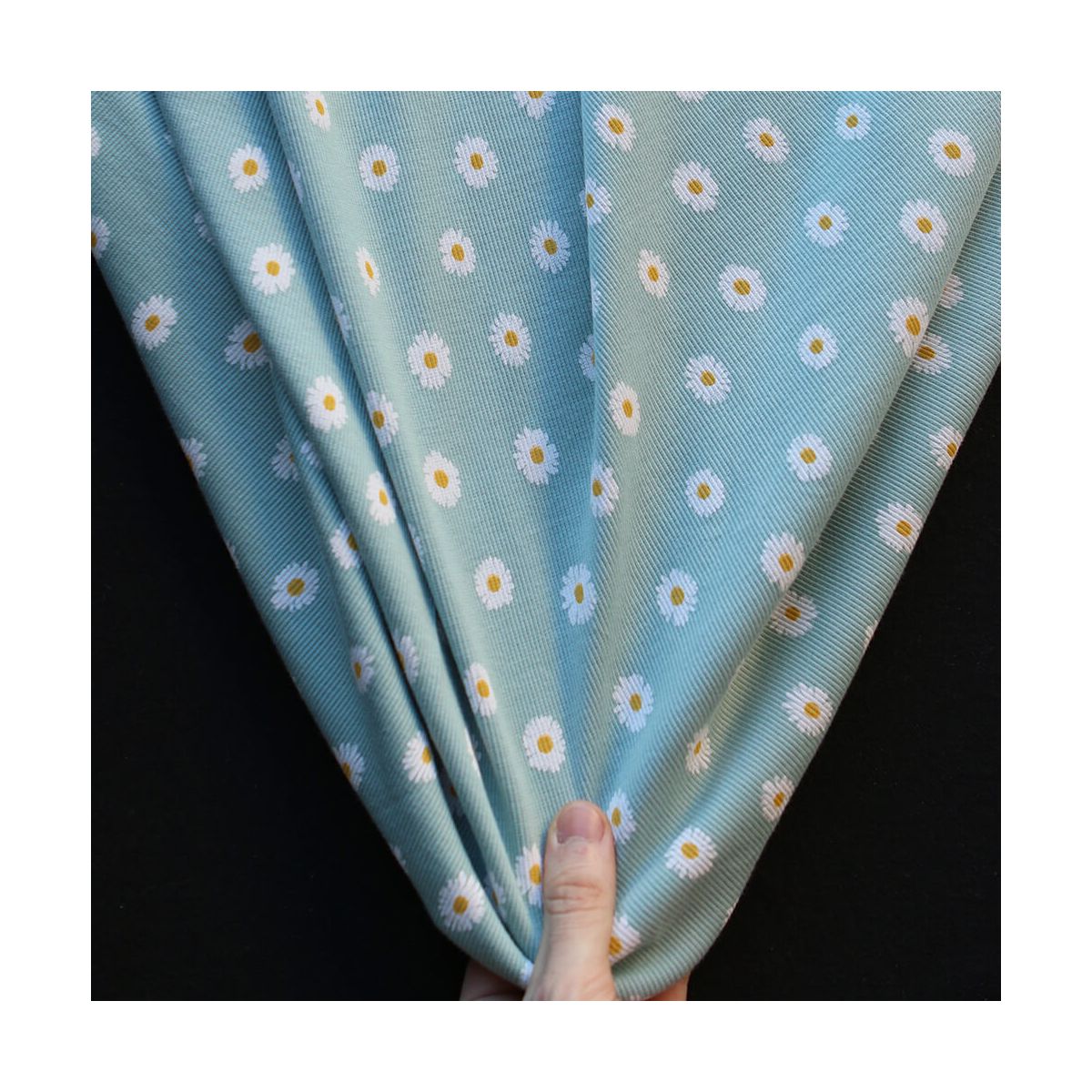 Jersey coton côtes fines à motif marguerites sur fond vert tendre