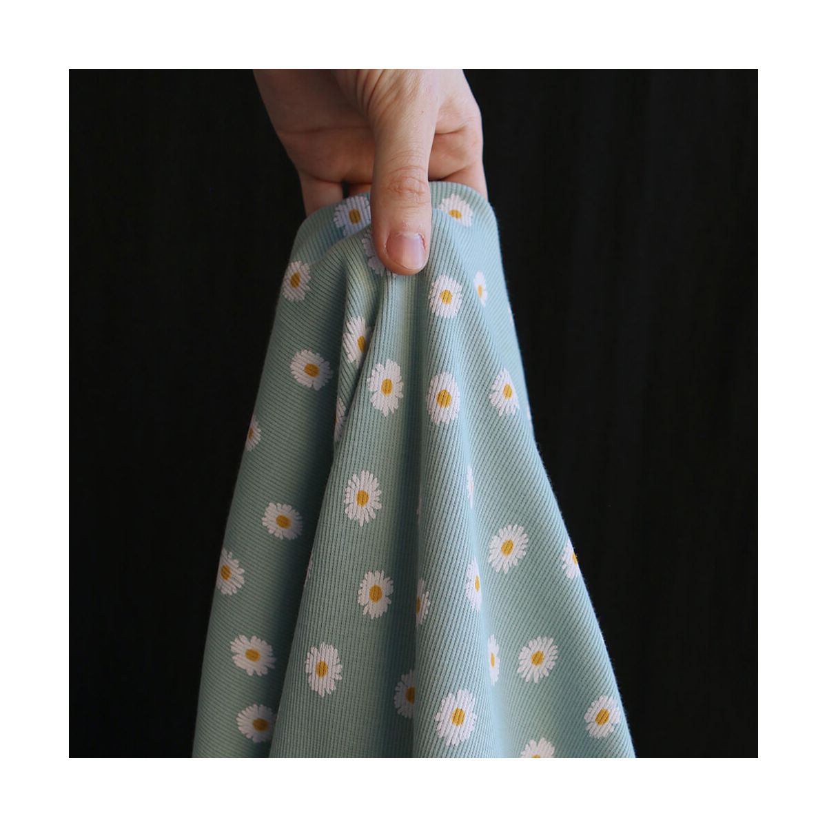 Jersey coton côtes fines à motif marguerites sur fond vert tendre