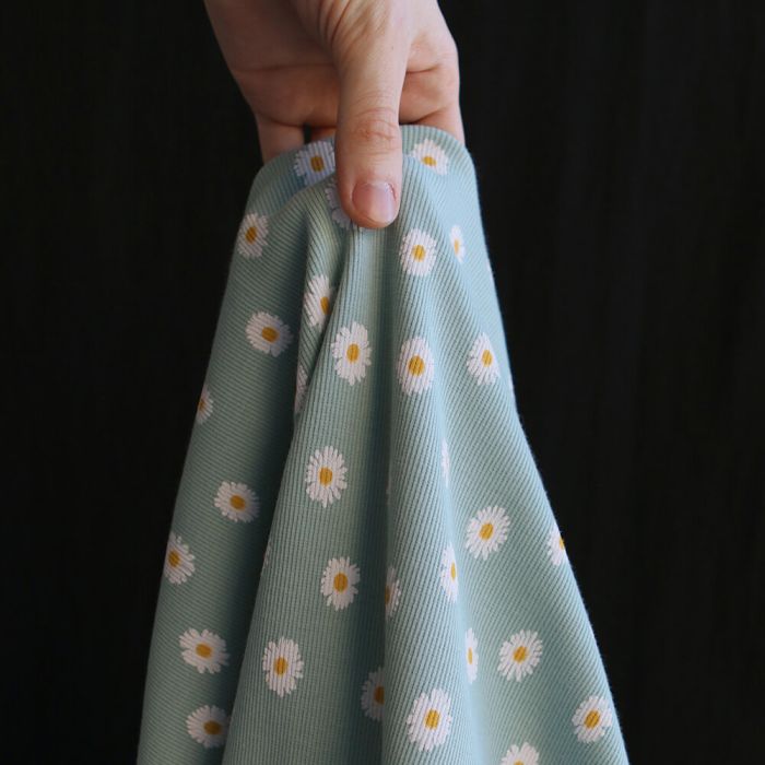 Jersey coton côtes fines à motif marguerites sur fond vert tendre