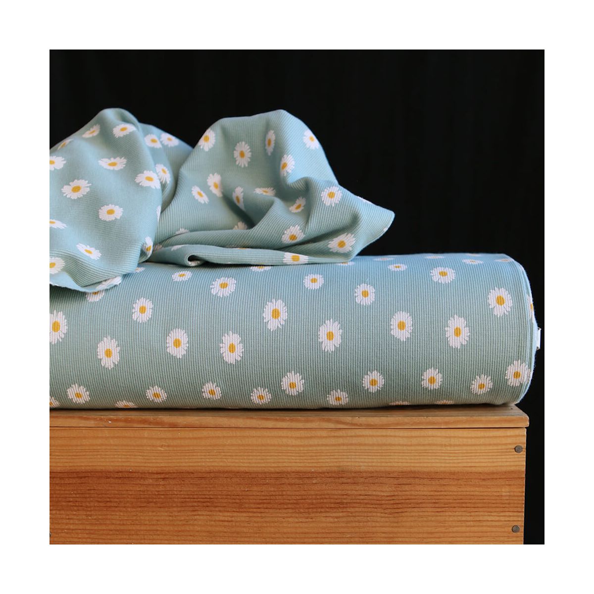 Jersey coton côtes fines à motif marguerites sur fond vert tendre