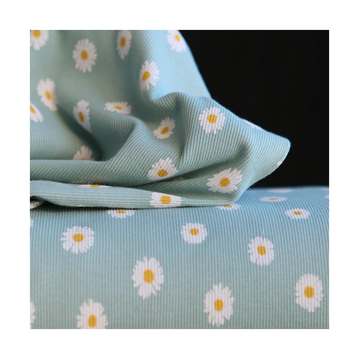 Jersey coton côtes fines à motif marguerites sur fond vert tendre