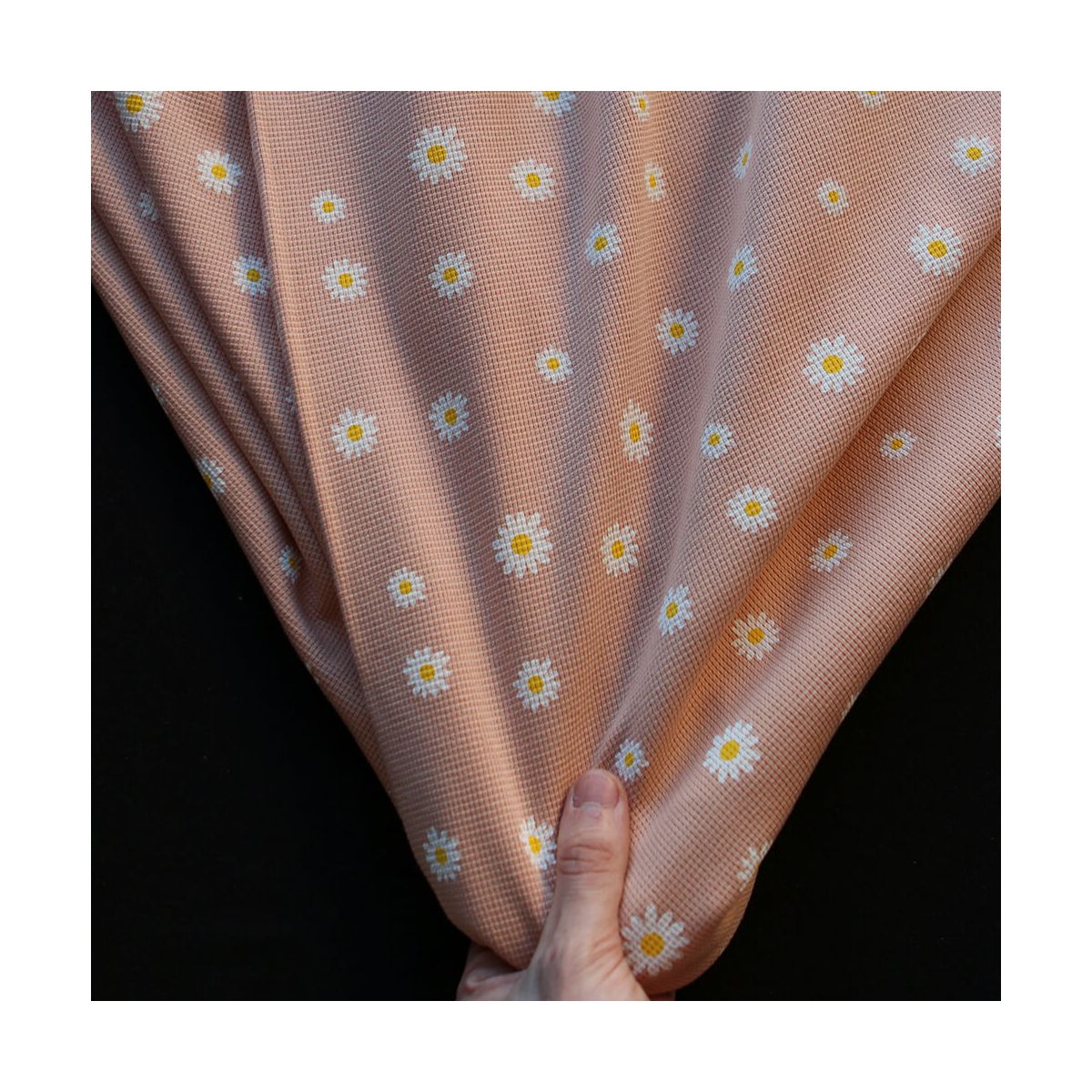 Jersey coton côtes fines à motif marguerites sur fond pêche nude