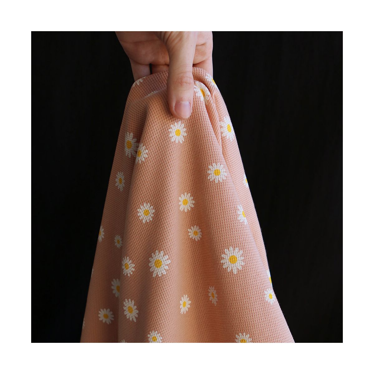 Jersey coton côtes fines à motif marguerites sur fond pêche nude