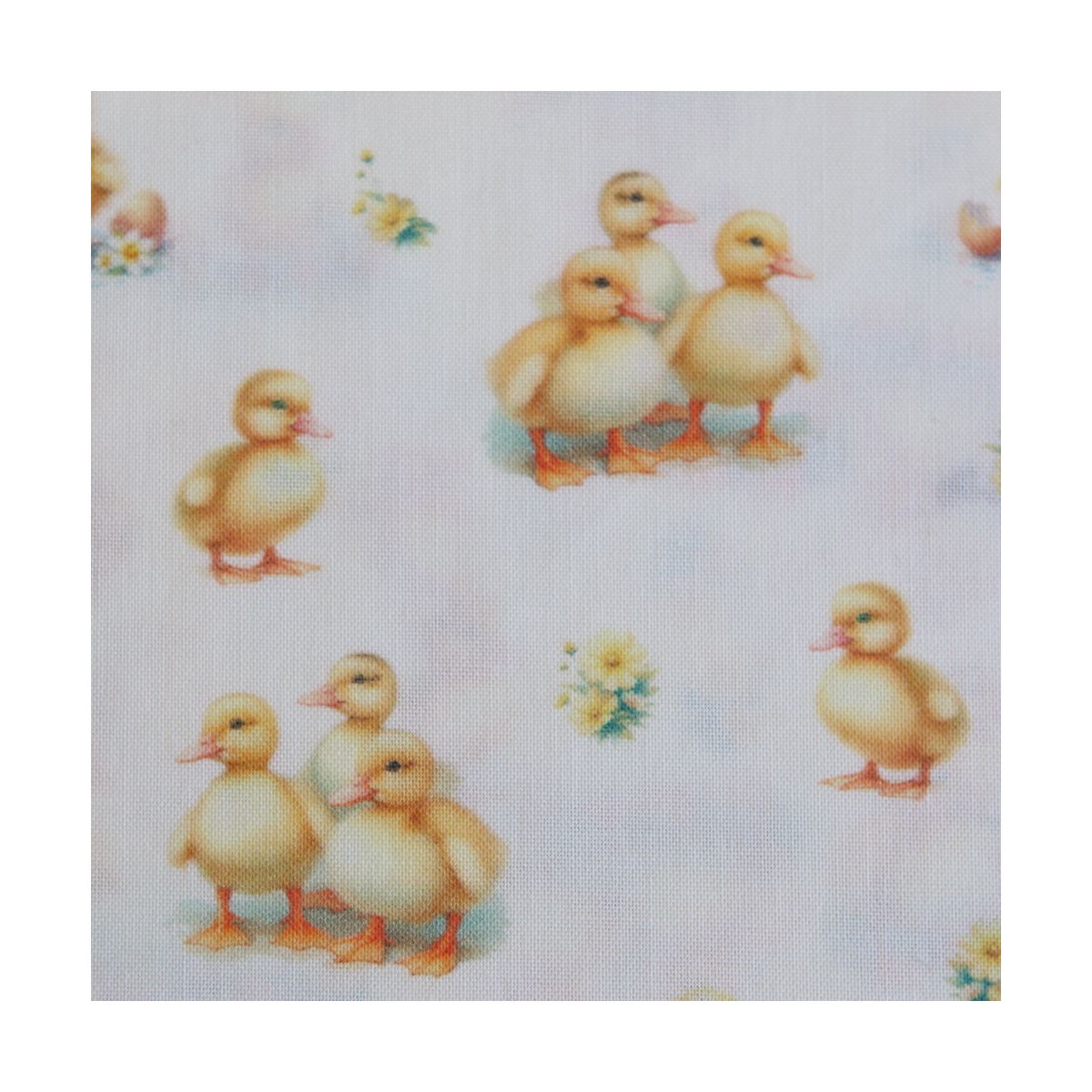 Gaston - Popeline douce coton organique fond écru imprimé canetons