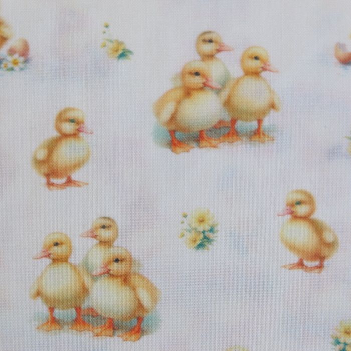 Gaston - Popeline douce coton organique fond écru imprimé canetons