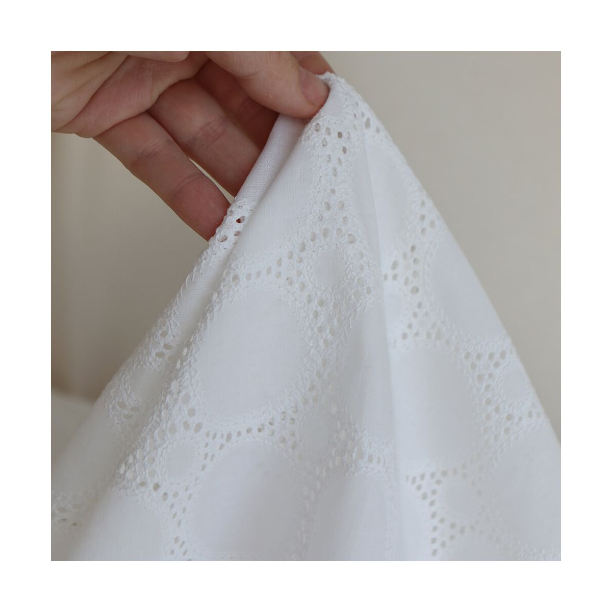 Broderie anglaise voile de coton coloris blanc ivoire