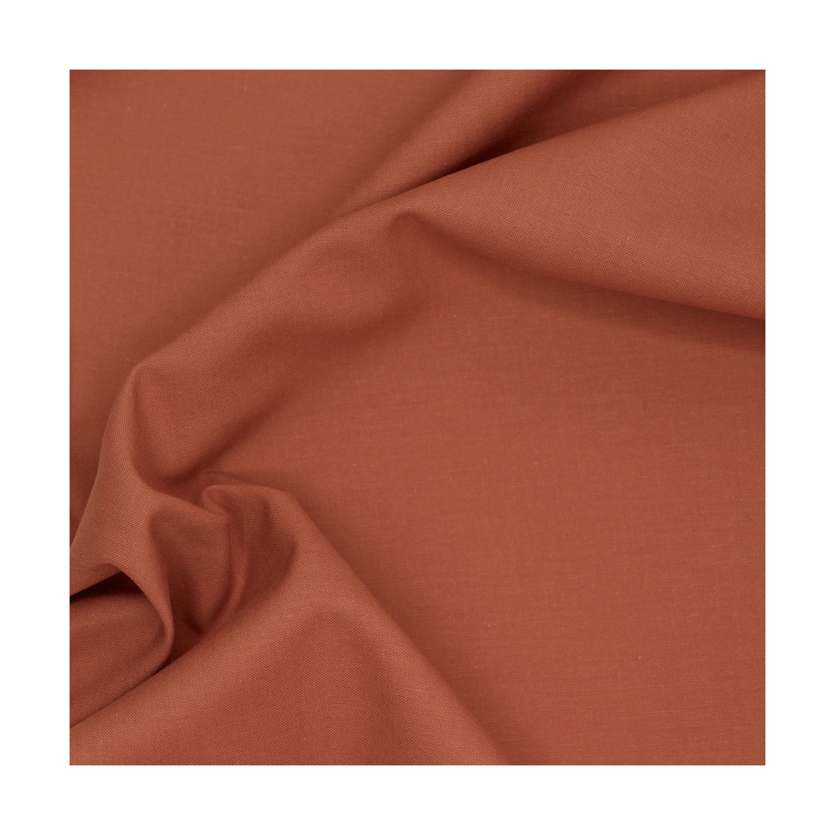 Popeline de coton douce qualité SWEET coloris uni écureuil