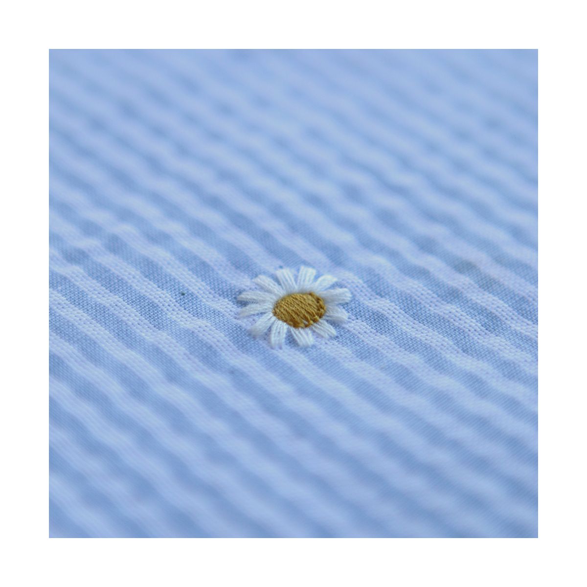 Seersucker / Coton gaufré rayé blanc et bleu ciel broderie marguerite