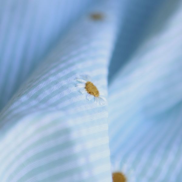 Seersucker / Coton gaufré rayé blanc et vert d'eau broderie marguerite 2