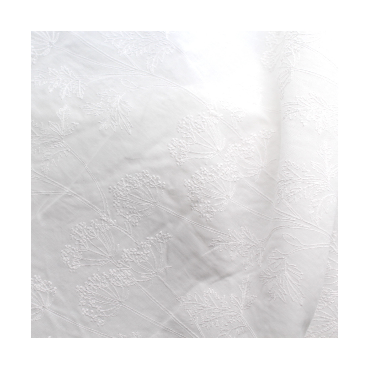Broderie anglaise coton coloris BLANC