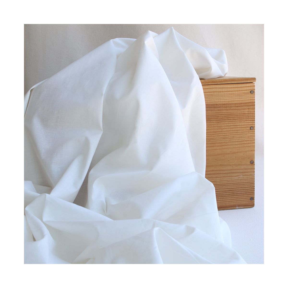 Voile de coton organique uni coloris blanc ivoire