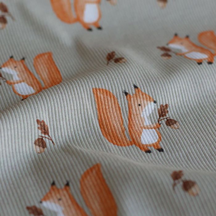 Jersey coton côtes fines à motifs petits écureuils de la forêt fond beige grège
