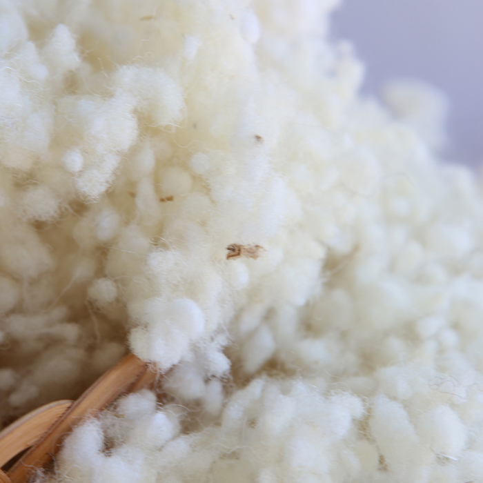 Laine vierge de mouton en flocons pour rembourrage