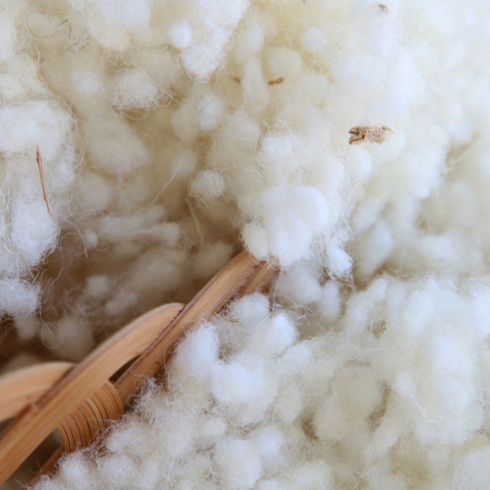 Laine vierge de mouton en flocons pour rembourrage