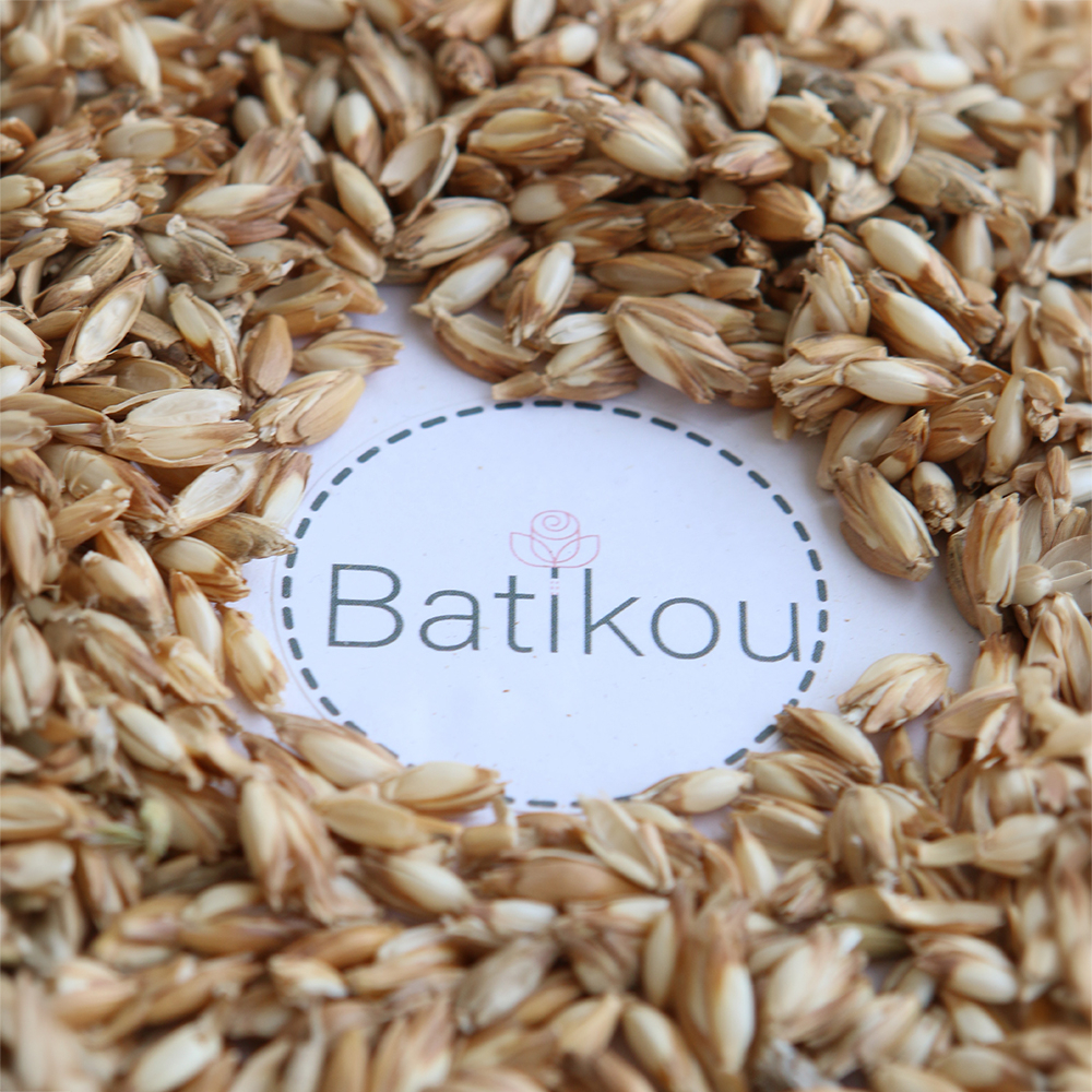 Balles de petit épeautre bio : rembourrage naturel France