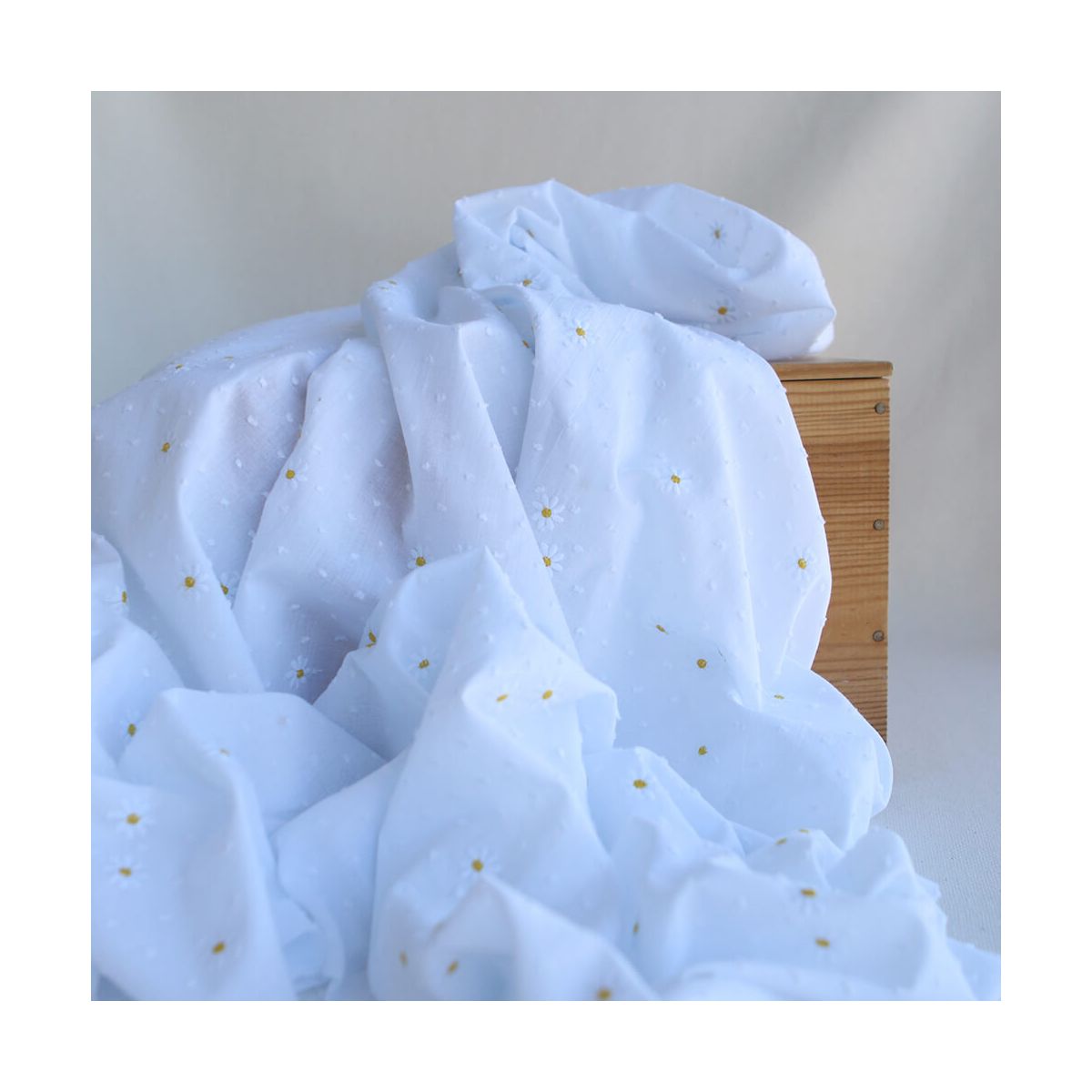 Adelaide - Plumetis de coton blanc broderies petites marguerites