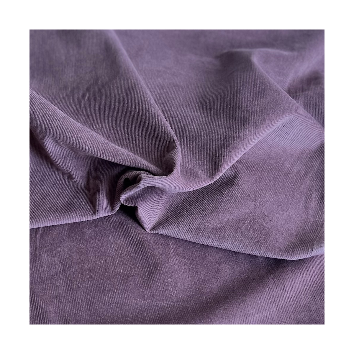 Velours milleraies coton organique coloris figue  - 1