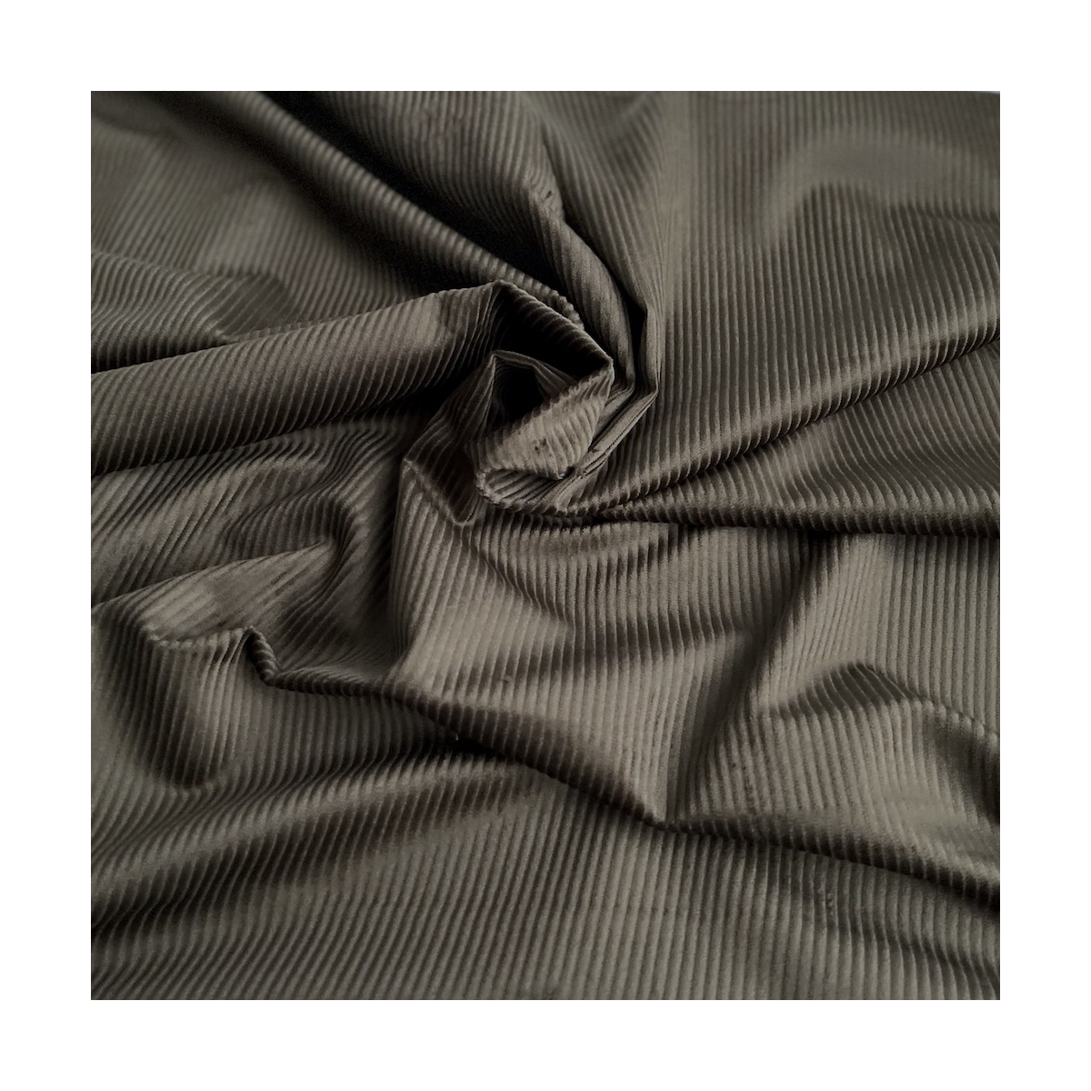 Velours à côtes coton organique coloris bronze  - 1