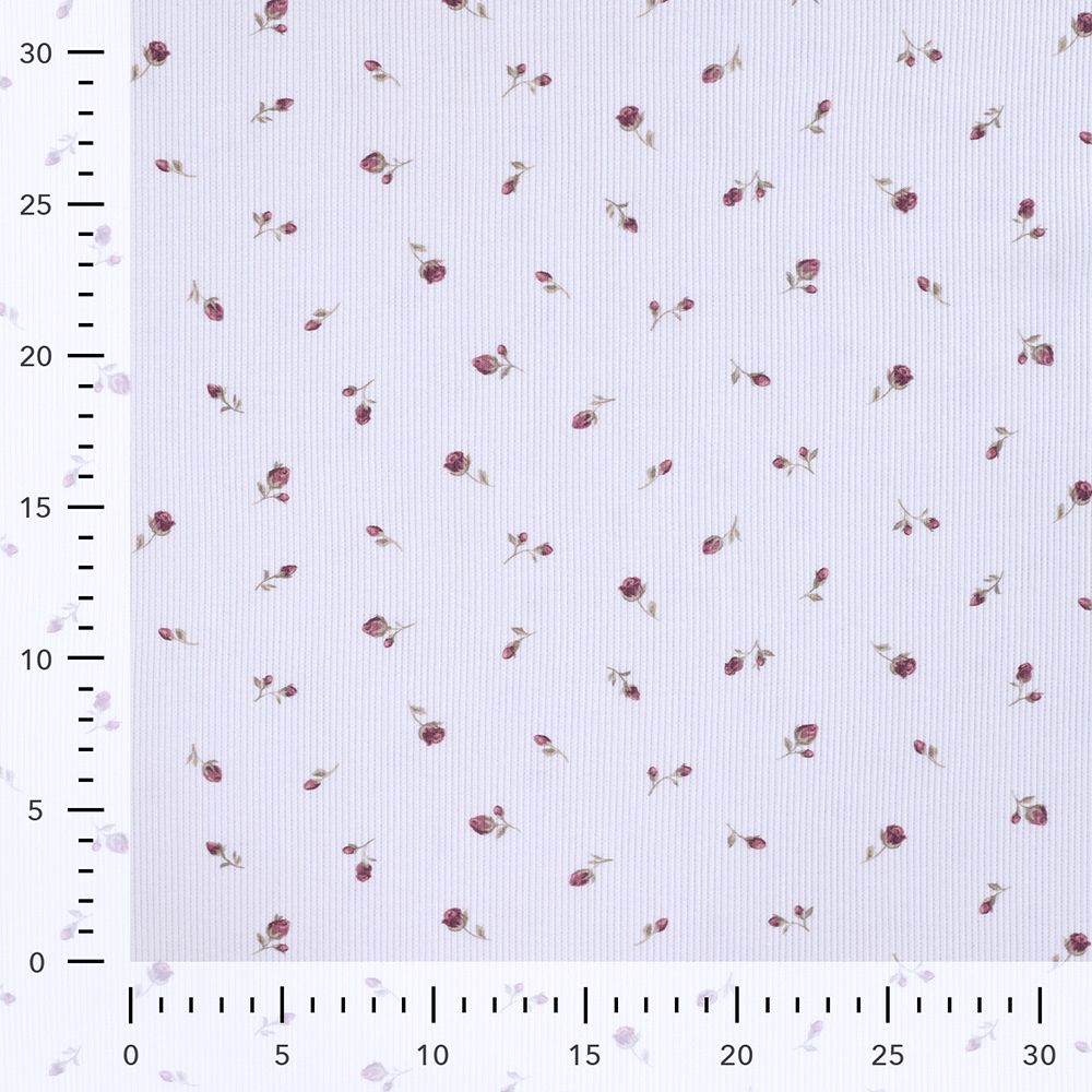 Jersey coton côtes fines à motif fleuri bois de rose fond blanc lait