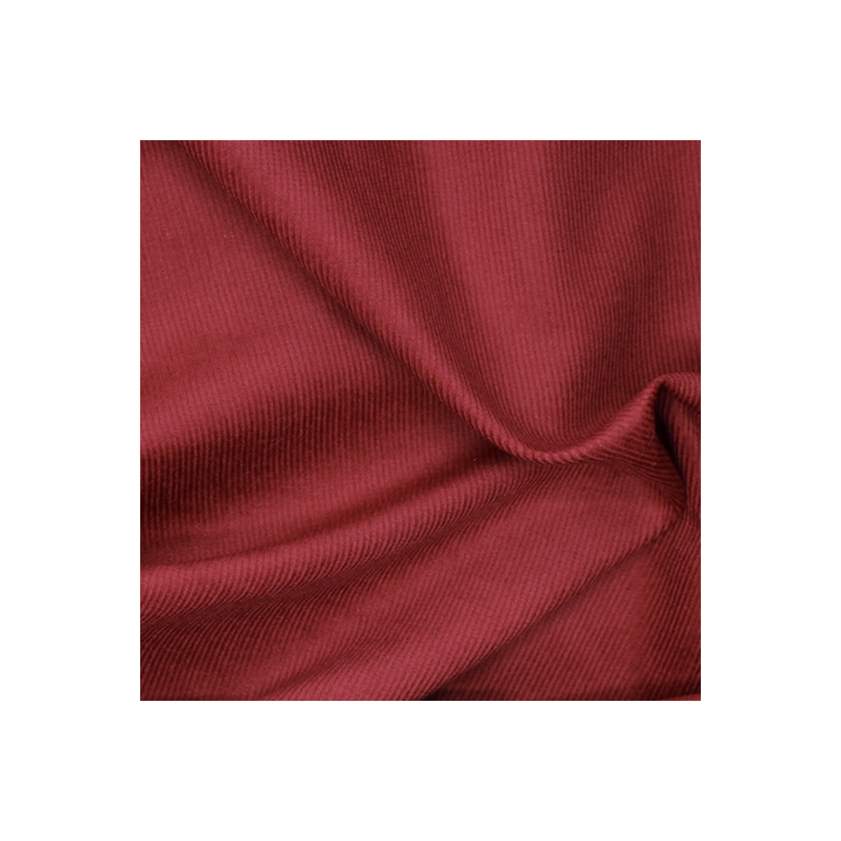 Velours milleraies coton organique coloris bordeaux Velours milleraies coton organique coloris bordeaux