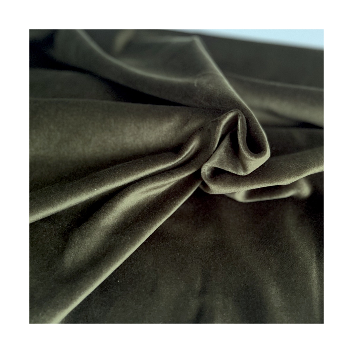 Velours ras coton organique coloris kaki  - 1