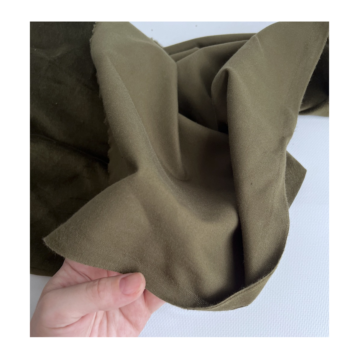 Velours ras coton organique coloris kaki  - 4
