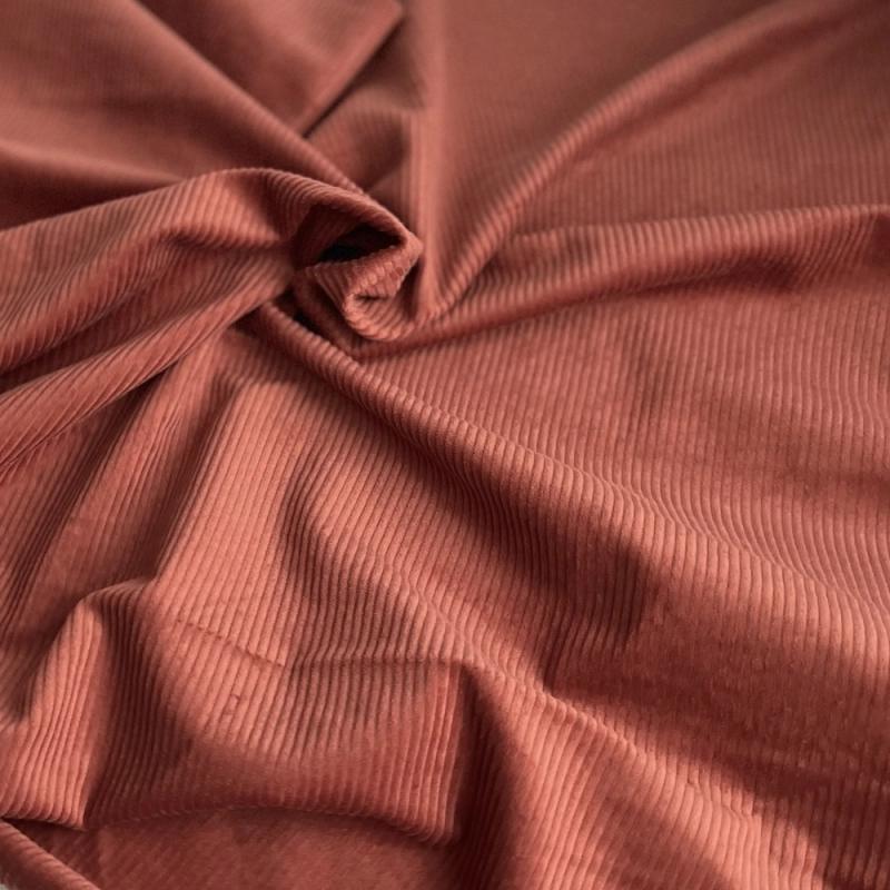 Velours à côtes coton organique coloris roux écureuil  - 1