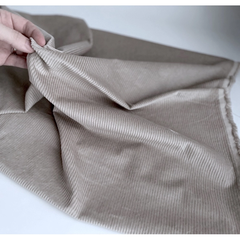 Velours à côtes coton organique coloris beige  - 4