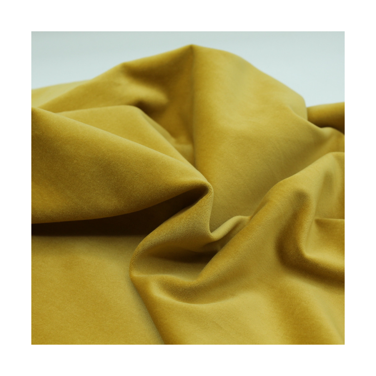 Velours ras coton organique coloris jaune safran Velours ras coton organique coloris jaune safran