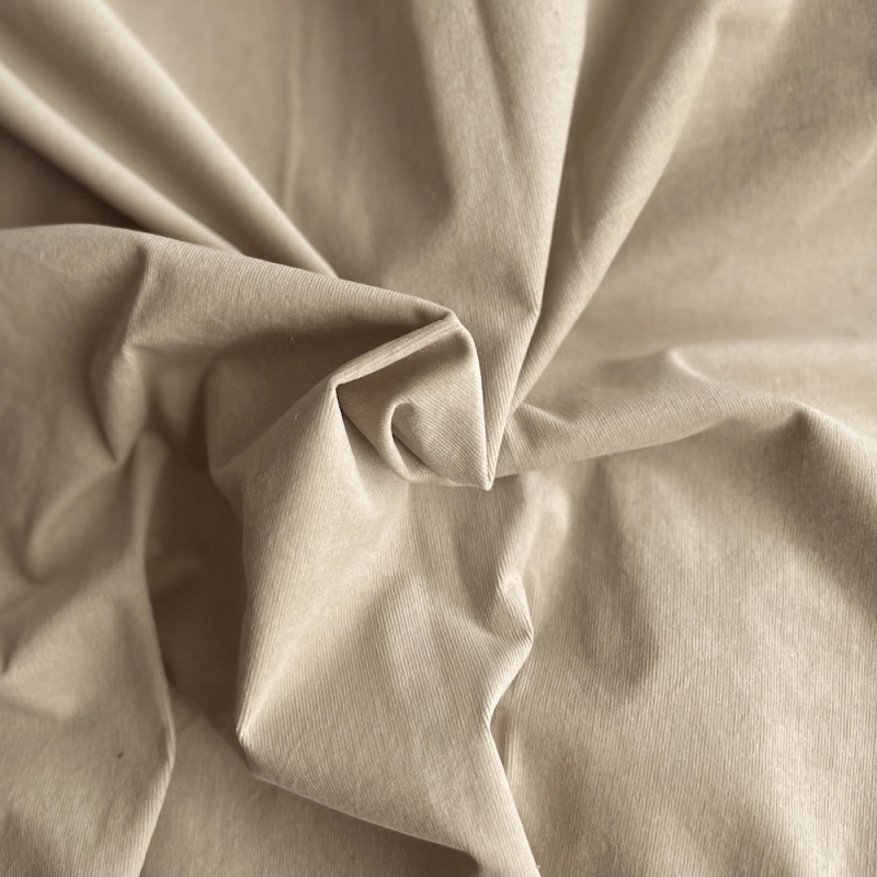 Velours milleraies stretch coton coloris crème Batikou - 1