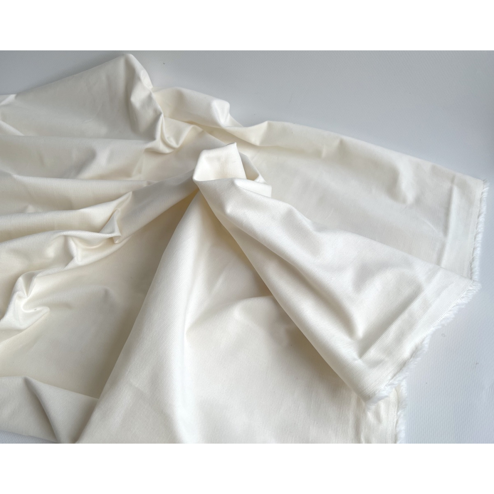 Velours milleraies stretch coton coloris écru Batikou - 2