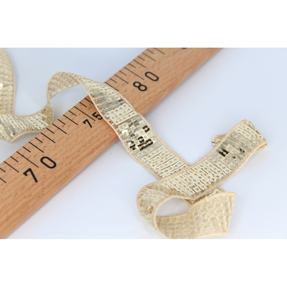 Galon à coudre paillettes 22mm pour sac tendance Vanessa Bruno