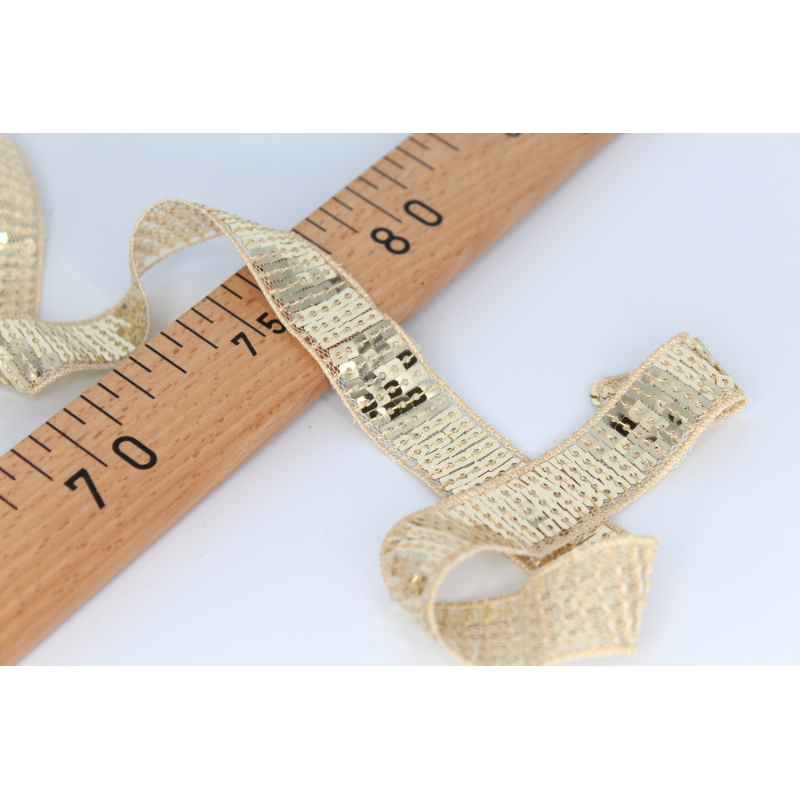 Galon à coudre paillettes 22mm pour sac tendance Vanessa Bruno