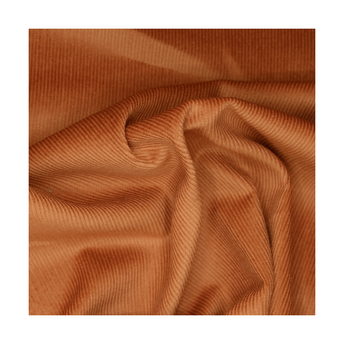Velours milleraies coton organique coloris écureuil Velours milleraies coton organique coloris écureuil