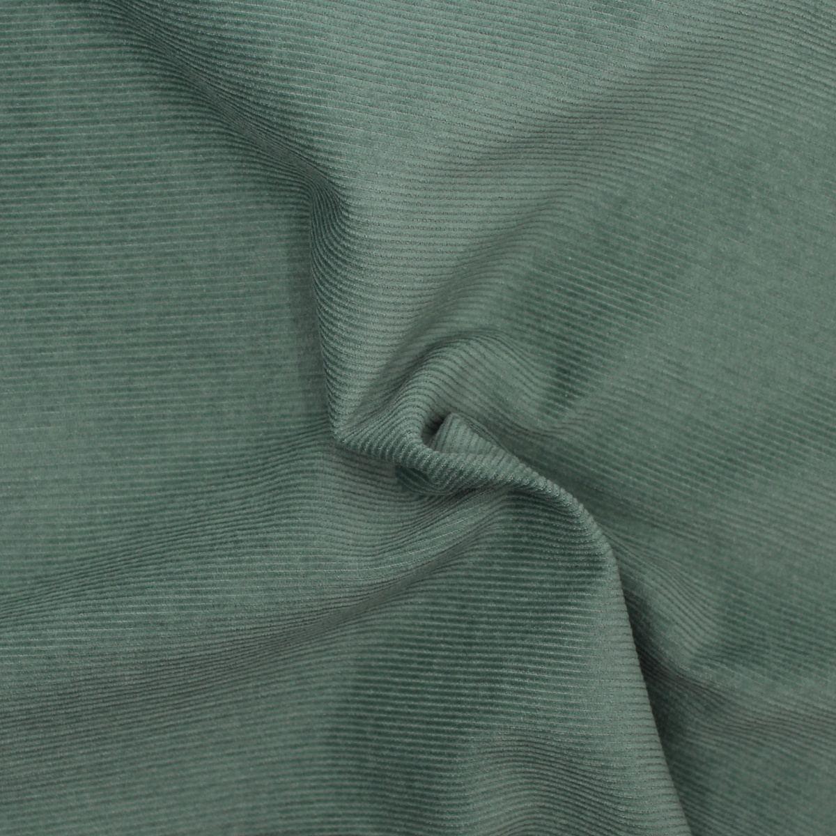 Tissus velours milleraies de coton organique hiver coloris vert sauge