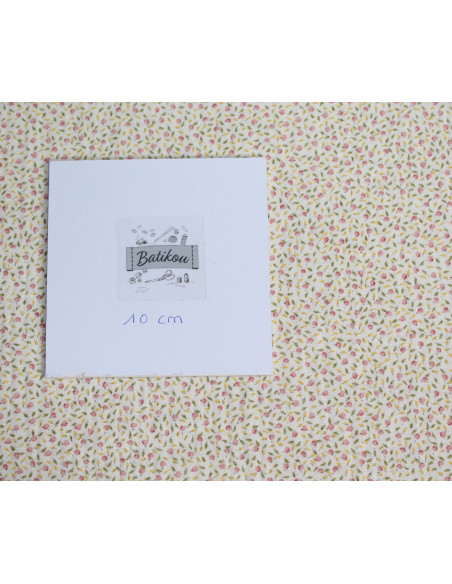 Double gaze de coton BIO écru à motifs fruités