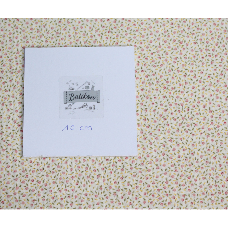 Double gaze de coton BIO écru à motifs fruités