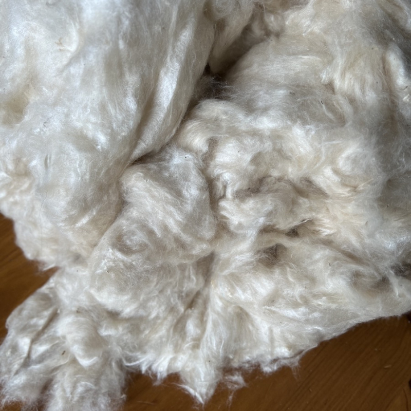 Le kapok : une fibre naturelle
