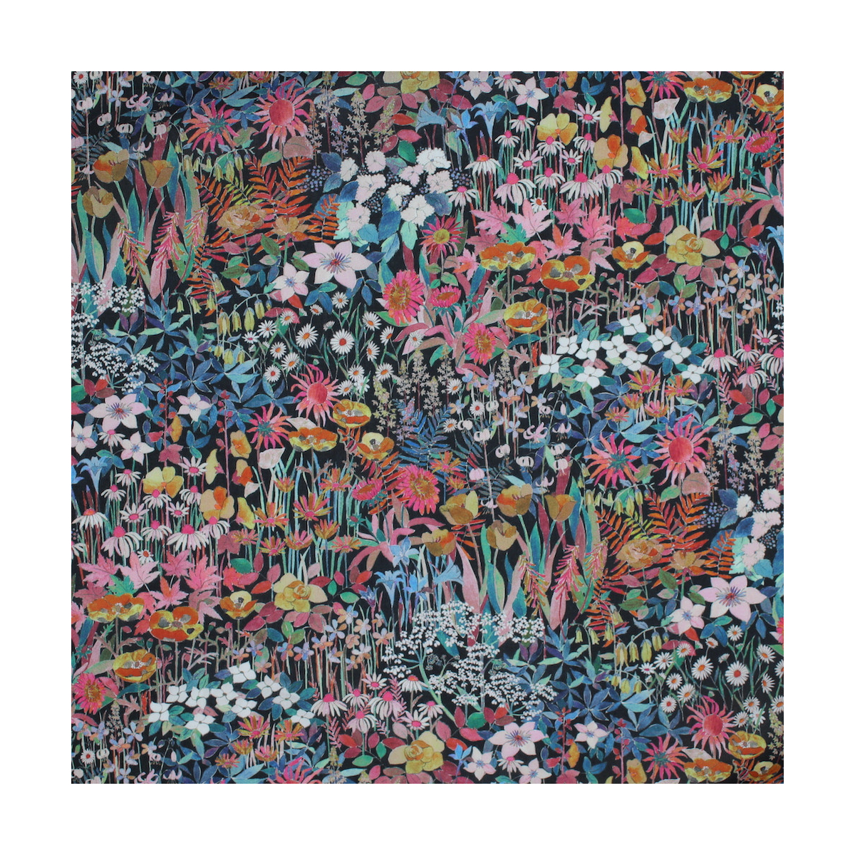 Liberty Faria B Liberty Faria B