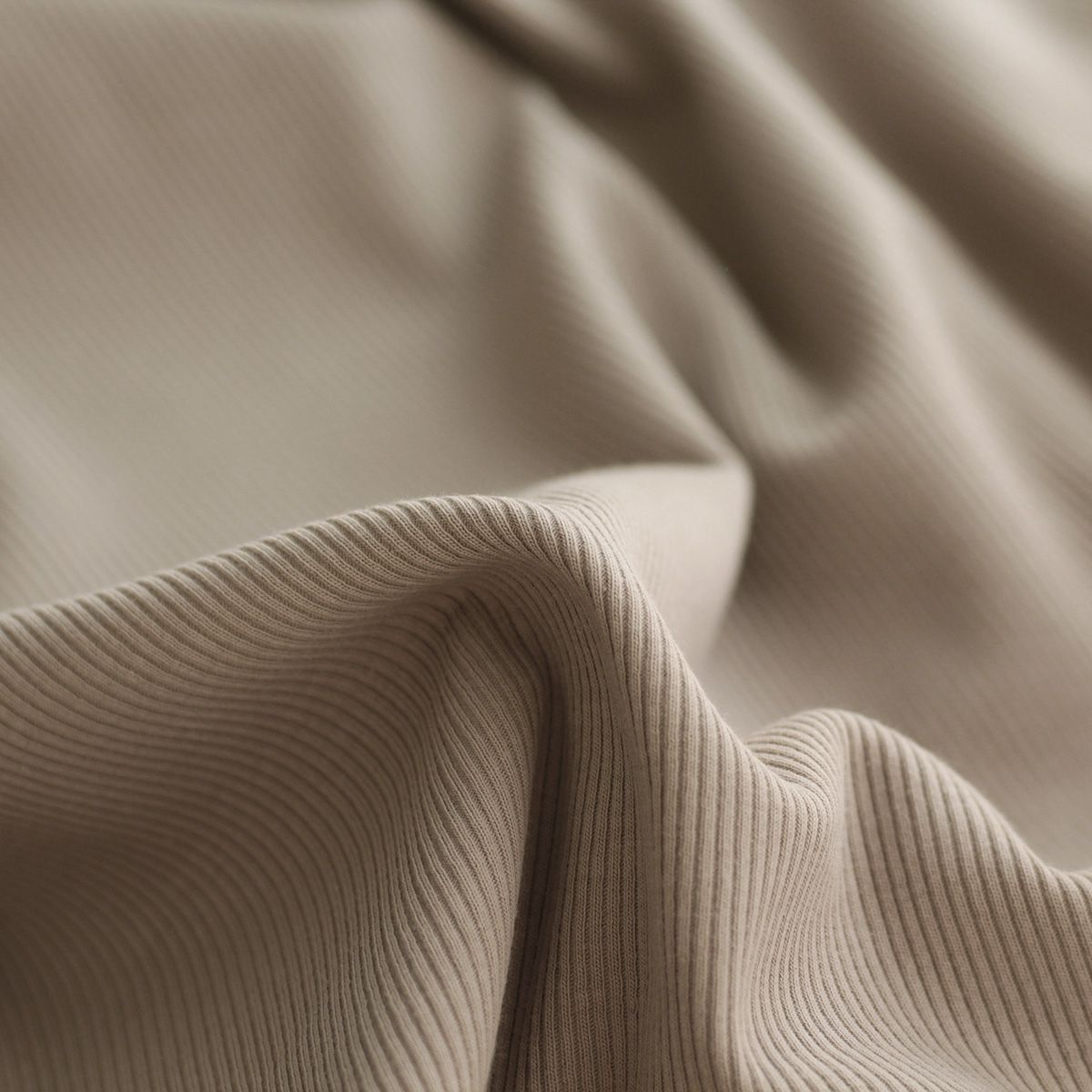 copy of Jersey coton côtes fines coloris taupe copy of Jersey coton côtes fines coloris taupe