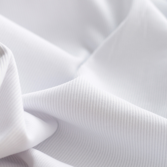 Jersey coton côtes fines coloris blanc